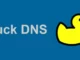 Ördek DNS nedir