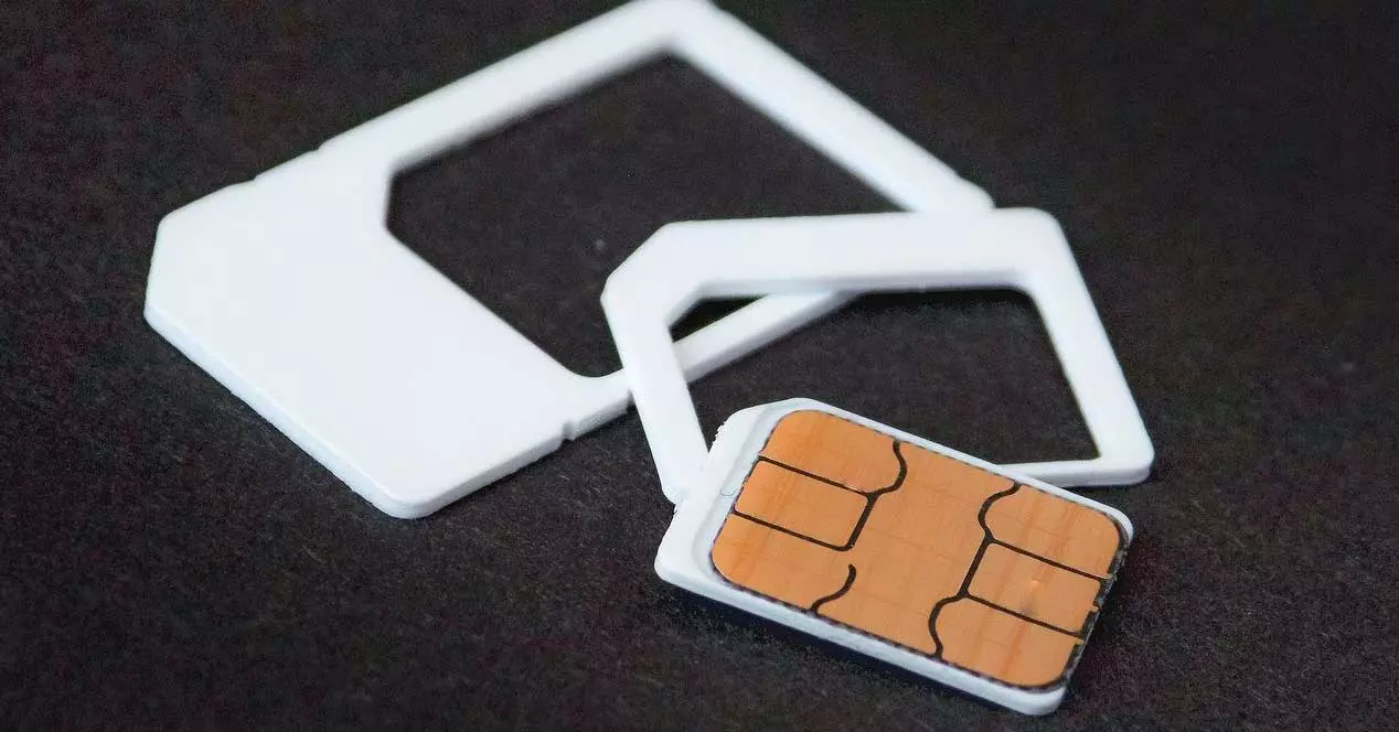 What types of SIM card exist