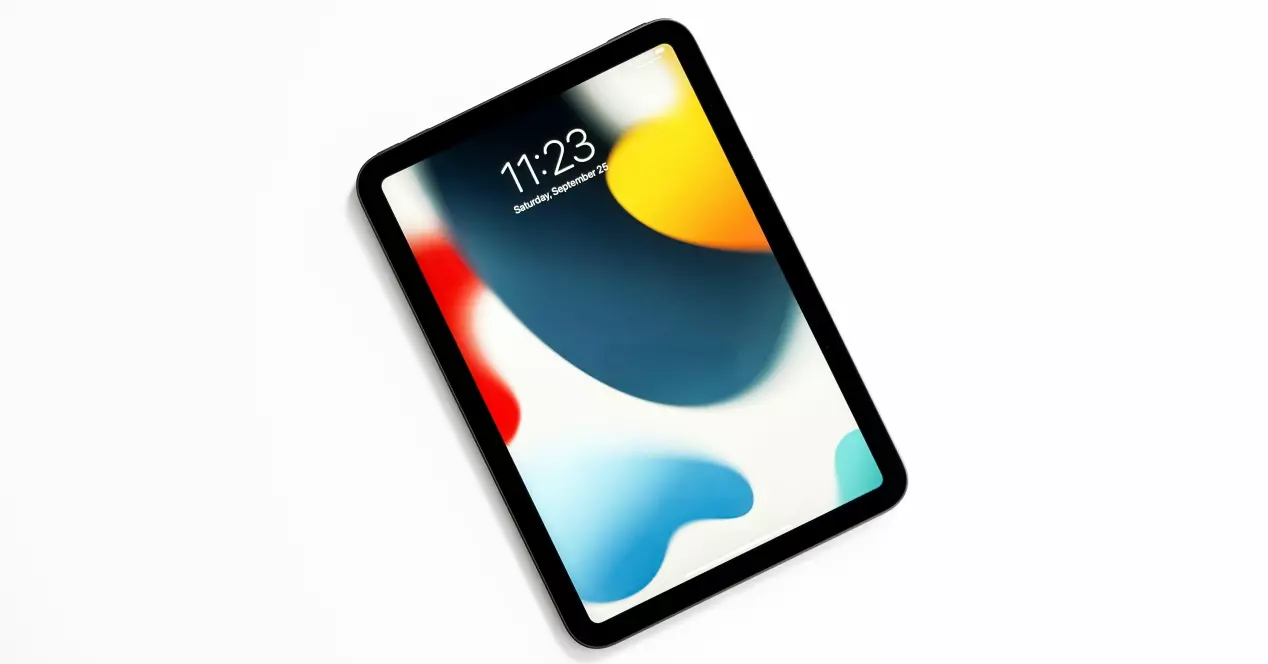 Mini proteggi schermo per iPad