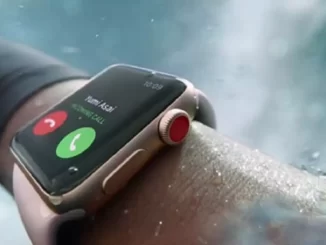 FaceTime from the Apple Watch, is it possible