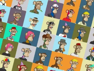 Waarom iedereen gek is geworden van Monkey NFT-avatars