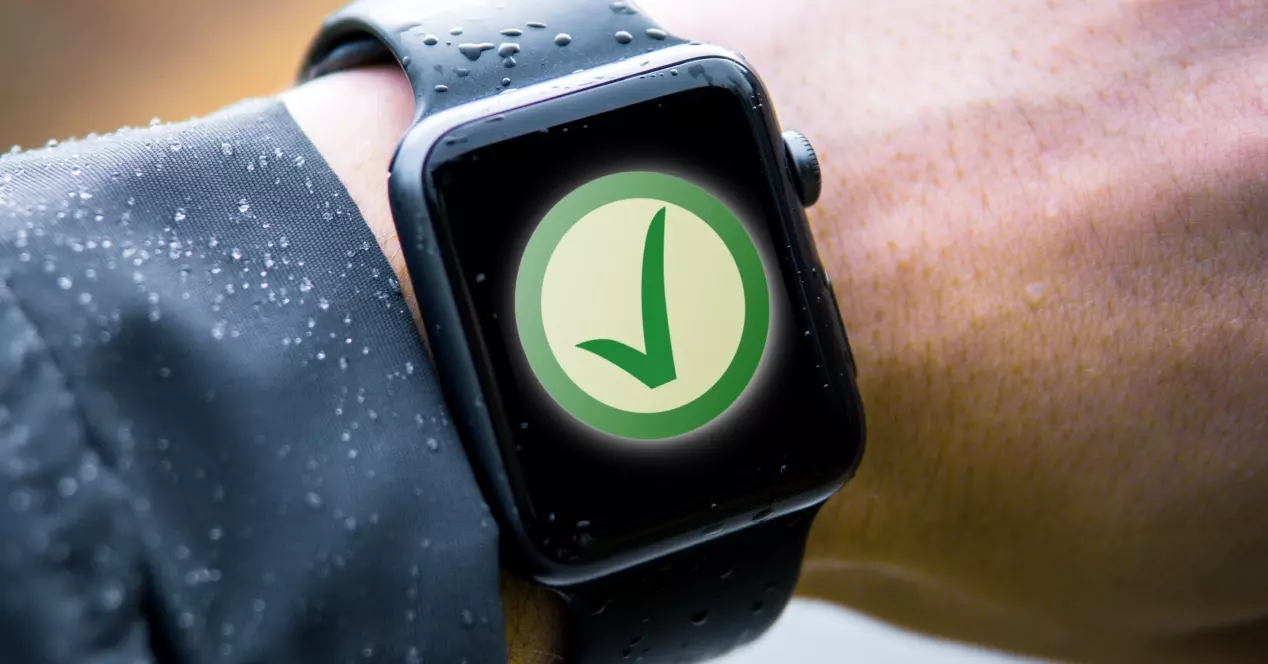 Apple Watch issues resolved with watchOS 8.4.1