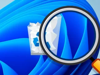 Windows Recycle Bin