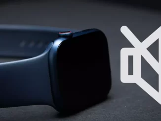 Silent or vibrate Apple Watch: All settings