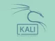 Kali Linux 2022.1: scopri le novità