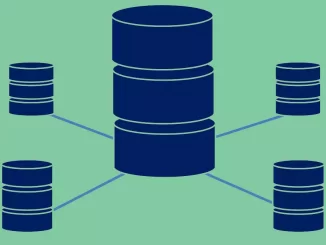 Databaseadministrator: studier, kunnskap og lønn