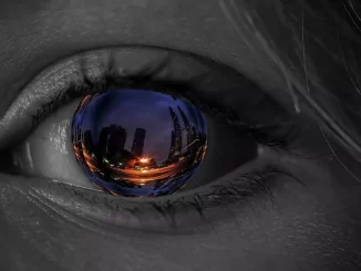 Forget Adobe Lightroom and save with these 3 alternatives