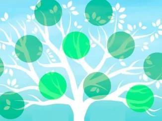 design a family tree in Word with these functions