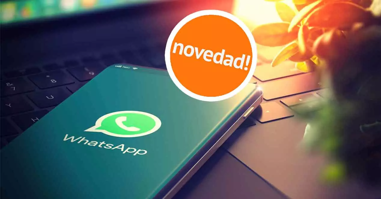 What's new in WhatsApp: 5 things that come to the app