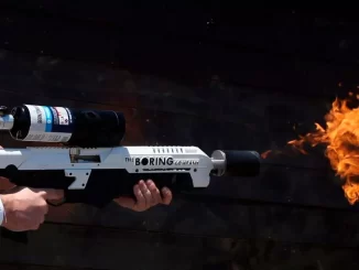 What happened to Elon Musk's flamethrower