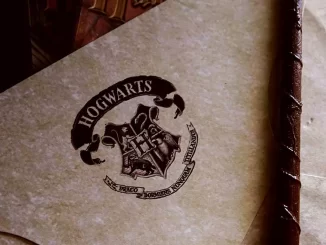 5 figures that true Harry Potter fans must have