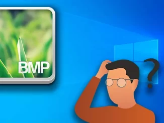 BMP file: what is it and how to open it in Windows