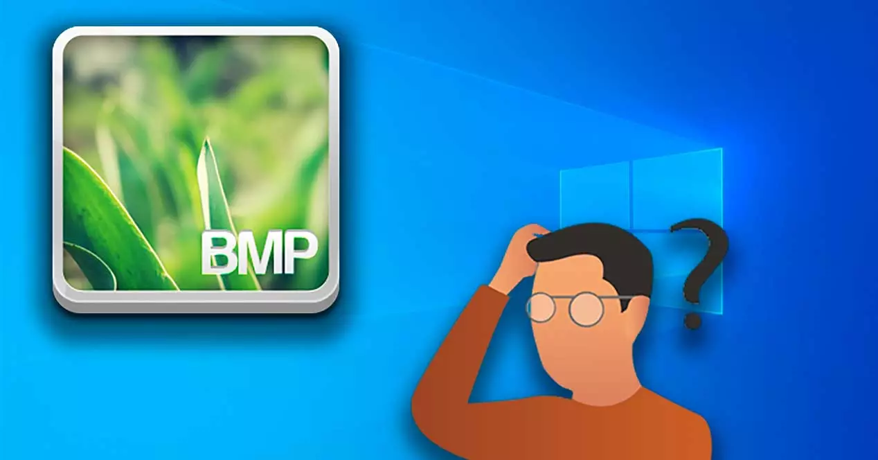 BMP file: what is it and how to open it in Windows