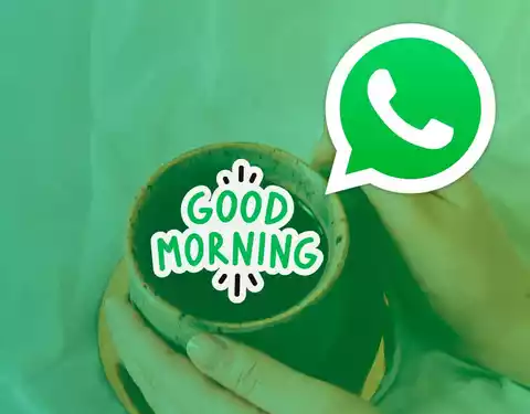 Adesivos de bom dia para WhatsApp: pacotes de adesivos gratuitos