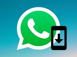 Verhindern Sie das automatische Herunterladen von Fotos und Videos auf WhatsApp