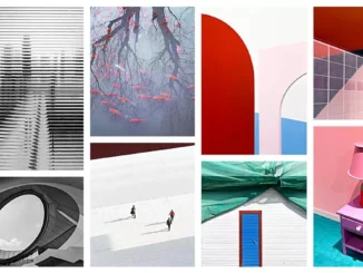 The best photos of the year taken with a mobile camera
