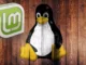 Linux Mint Debian Edition 5 k dispozici