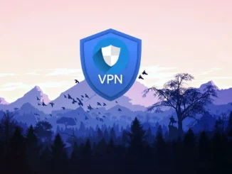 choose the best VPN according to my needs and uses