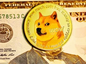 9 nettsteder hvor du kan kjøpe online med Dogecoin