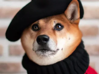 This artificial intelligence draws your thoughts with extreme precision