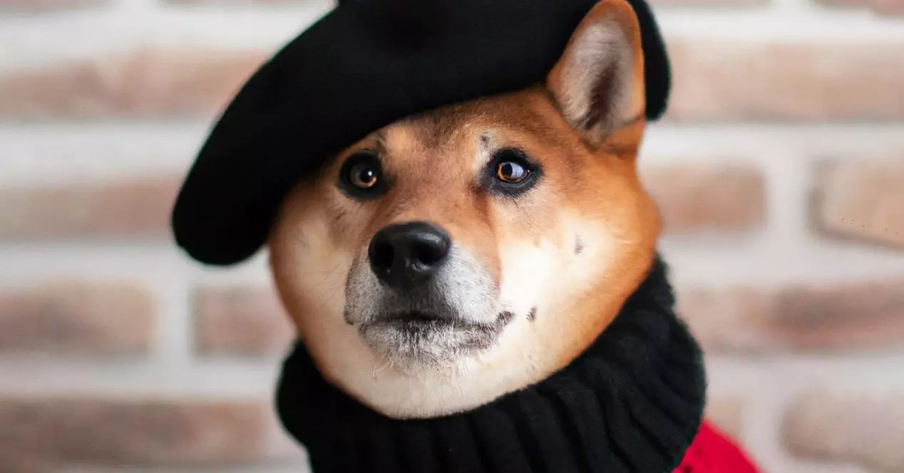 This artificial intelligence draws your thoughts with extreme precision