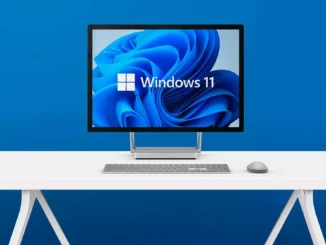 6 months with Windows 11