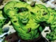 How to start reading the Hulk comics so you don't get lost