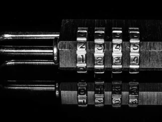 Normal or portable: which version of KeePass is more useful