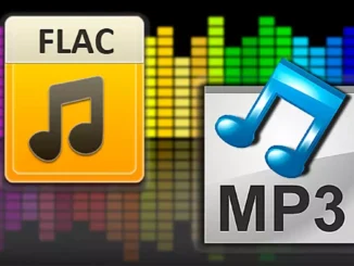 Konvertieren Sie FLAC in MP3 - Beste kostenlose Software