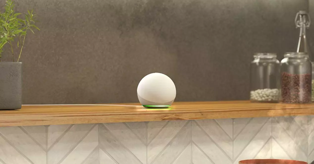 A study ensures that Alexa is spying on you at home