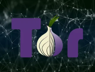 TOR has gone offline on Windows: how to fix it