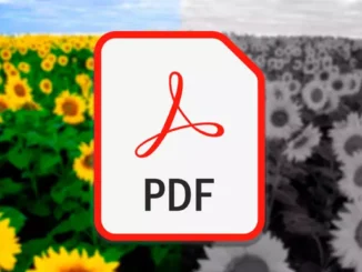 konvertera och spara en PDF till svartvitt