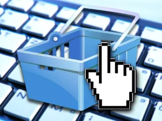 Find the cookies used by a website with this service