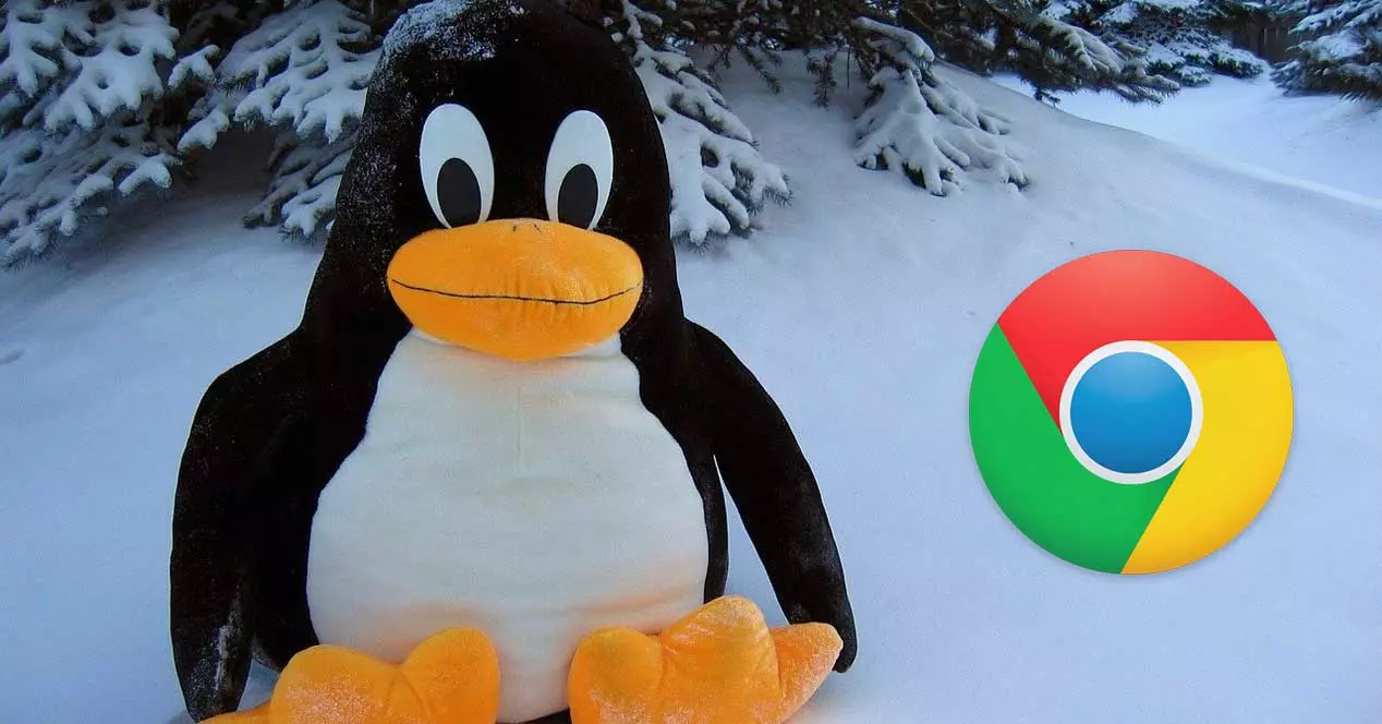 De ce unele Linux includ Chrome ca browser implicit