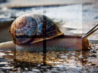 What antivirus makes your computer go slower