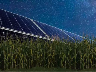 Solární panely místo fotosyntézy pro pěstování plodin ve tmě
