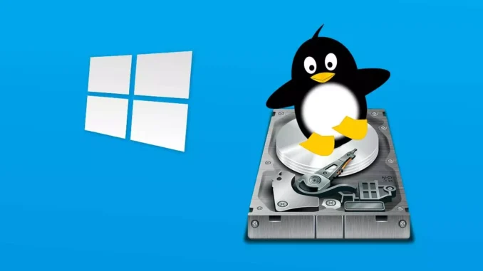 How to access Linux drives from Windows