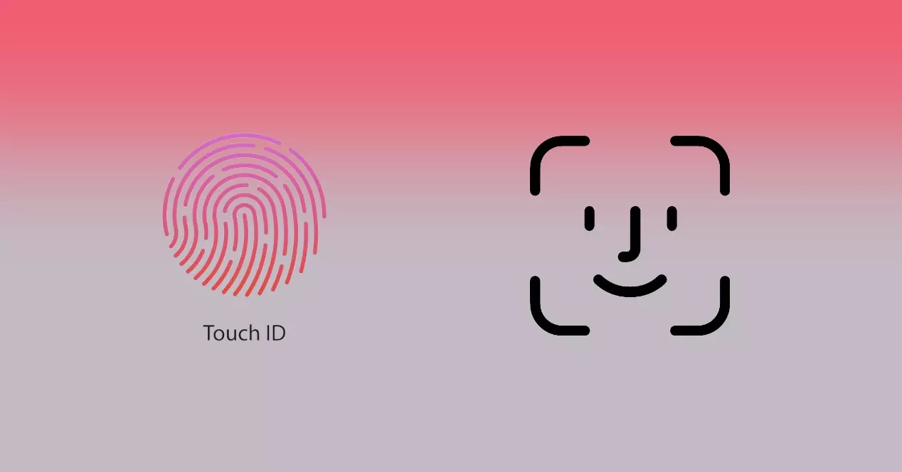 Будет ли iPhone иметь Touch ID и Face ID одновременно