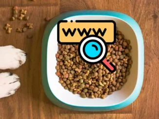 The best websites to buy feed or food for your pets
