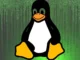 Kan løsepengevare påvirke Linux-baserte operativsystemer