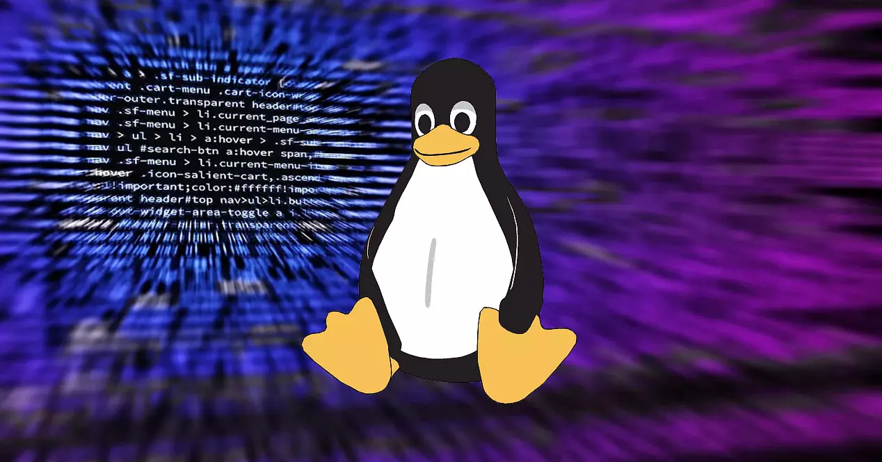 Verwenden Sie Antivirus für Linux
