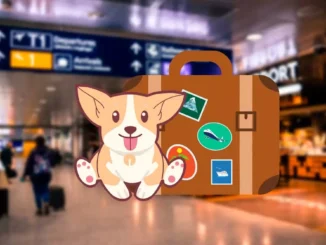 Are you traveling with your pet