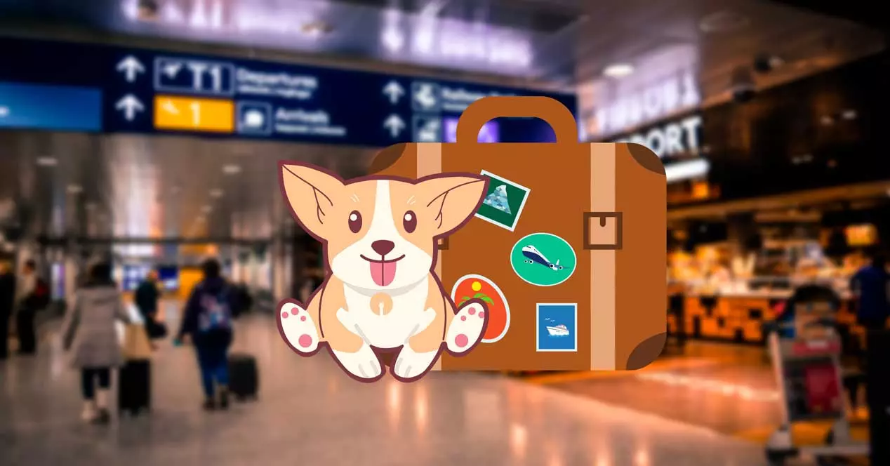 Are you traveling with your pet