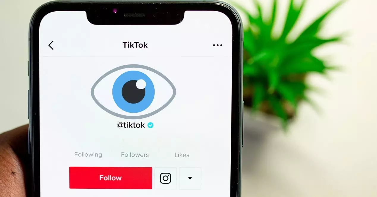 So finden Sie heraus, wer Ihr TikTok-Profil ansieht