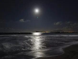 What is the relationship between the Moon and Earth's tides