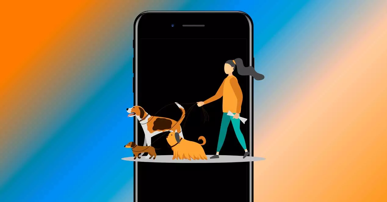 Wer geht mit dem Hund spazieren? Diese Apps helfen Ihnen, Pflegekräfte zu finden