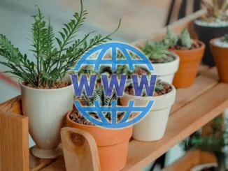 Take care of your plants with these 5 free gardening websites