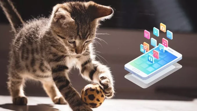 De bästa kattspelen på mobilen