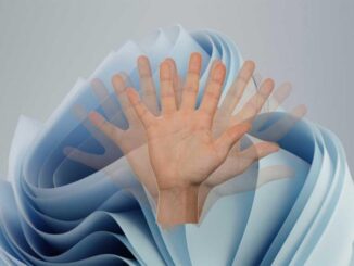 activate and enjoy the new hidden animations of Windows 11