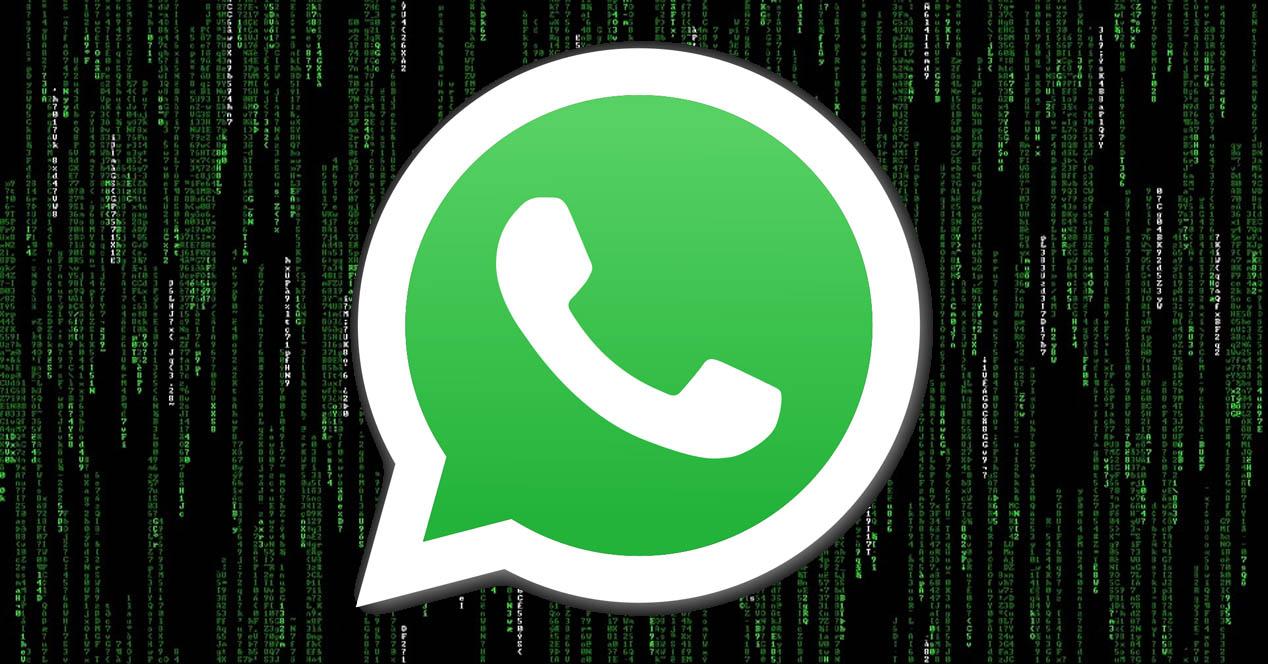 Como pueden leer conversaciones de WhatsApp